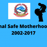 National-Safe-Motherhood-Plan-2002-2017